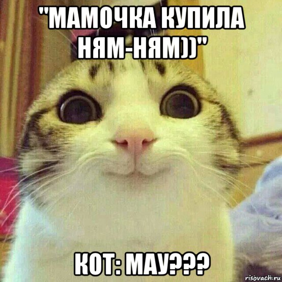 "мамочка купила ням-ням))" кот: мау???, Мем       Котяка-улыбака