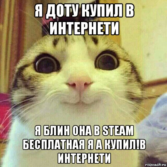 я доту купил в интернети я блин она в steam бесплатная я а купил!в интернети, Мем       Котяка-улыбака