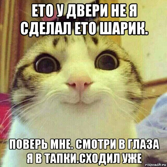 ето у двери не я сделал ето шарик. поверь мне. смотри в глаза я в тапки.сходил уже, Мем       Котяка-улыбака