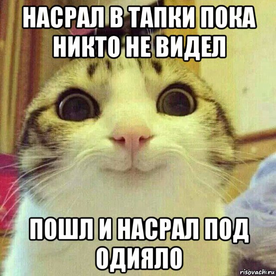 насрал в тапки пока никто не видел пошл и насрал под одияло, Мем       Котяка-улыбака