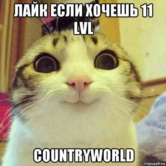 лайк если хочешь 11 lvl countryworld, Мем       Котяка-улыбака