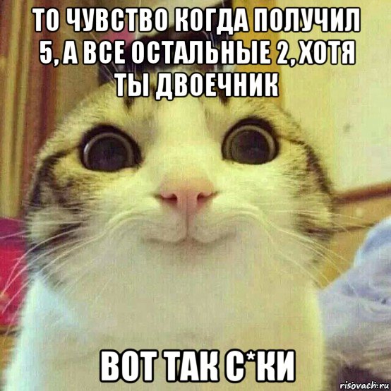 то чувство когда получил 5, а все остальные 2, хотя ты двоечник вот так с*ки, Мем       Котяка-улыбака