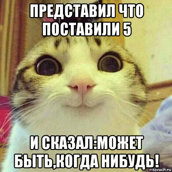 представил что поставили 5 и сказал:может быть,когда нибудь!, Мем       Котяка-улыбака