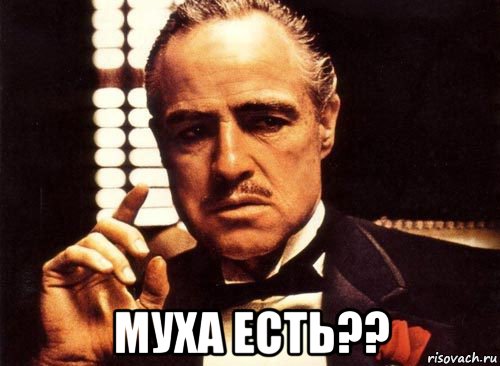  муха есть??, Мем крестный отец