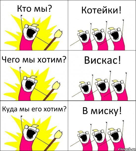 Кто мы? Котейки! Чего мы хотим? Вискас! Куда мы его хотим? В миску!