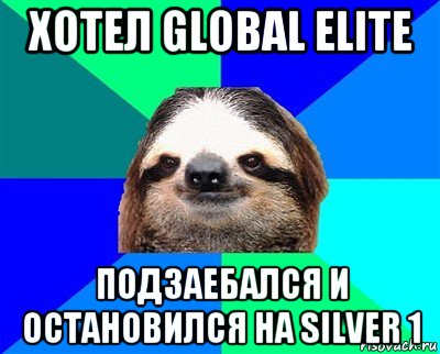 хотел global elite подзаебался и остановился на silver 1, Мем Ленивец