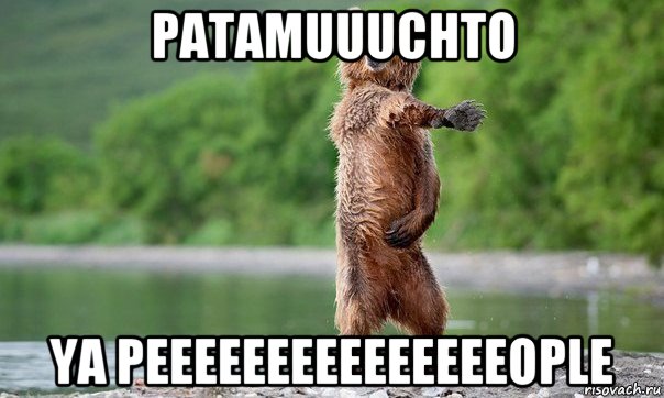 patamuuuchto ya peeeeeeeeeeeeeeeople, Мем Медвед танцует