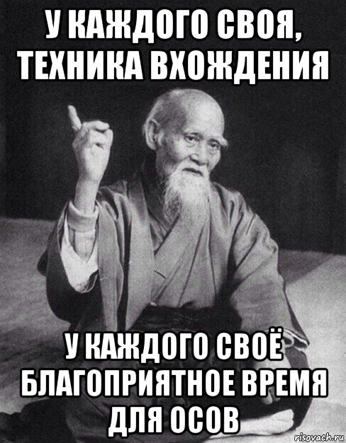 у каждого своя, техника вхождения у каждого своё благоприятное время для осов, Мем Монах-мудрец (сэнсей)