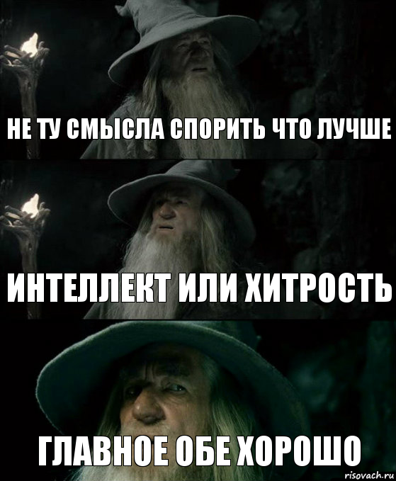 Не ту смысла спорить что лучше Интеллект или хитрость главное обе хорошо, Комикс Гендальф заблудился