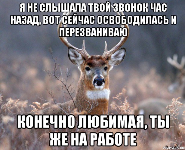 я не слышала твой звонок час назад, вот сейчас освободилась и перезваниваю конечно любимая, ты же на работе, Мем   Наивный олень