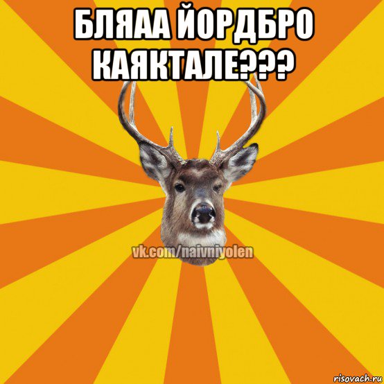 бляаа йордбро каяктале??? , Мем Наивный Олень вк