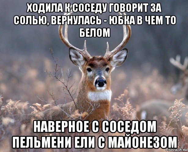 ходила к соседу говорит за солью, вернулась - юбка в чем то белом наверное с соседом пельмени ели с майонезом, Мем   Наивный олень