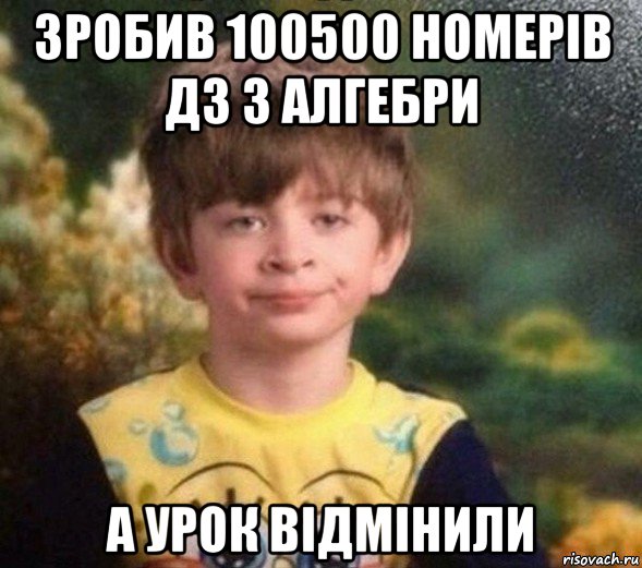 зробив 100500 номерів дз з алгебри а урок відмінили, Мем Недовольный пацан