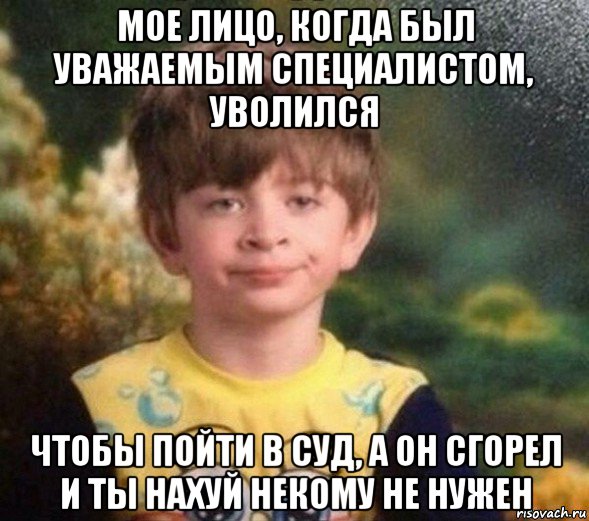 мое лицо, когда был уважаемым специалистом, уволился чтобы пойти в суд, а он сгорел и ты нахуй некому не нужен, Мем Недовольный пацан