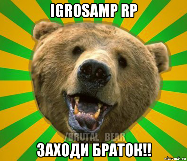 igrosamp rp заходи браток!!, Мем Нелепый медведь