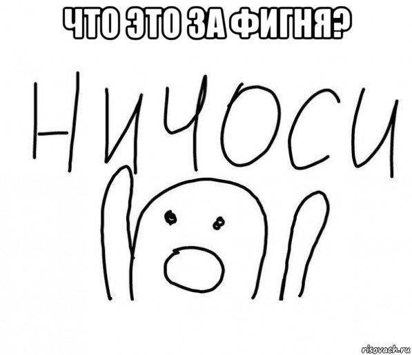 что это за фигня? , Мем  Ничоси