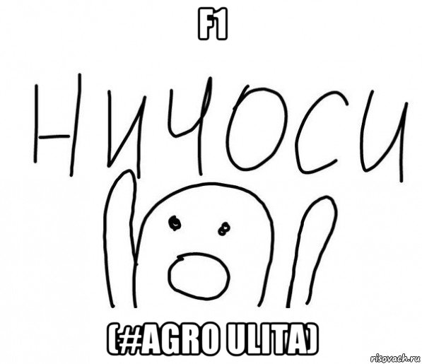 f1 (#agro ulita), Мем  Ничоси