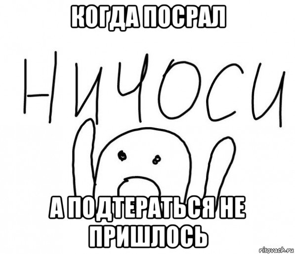 когда посрал а подтераться не пришлось, Мем  Ничоси