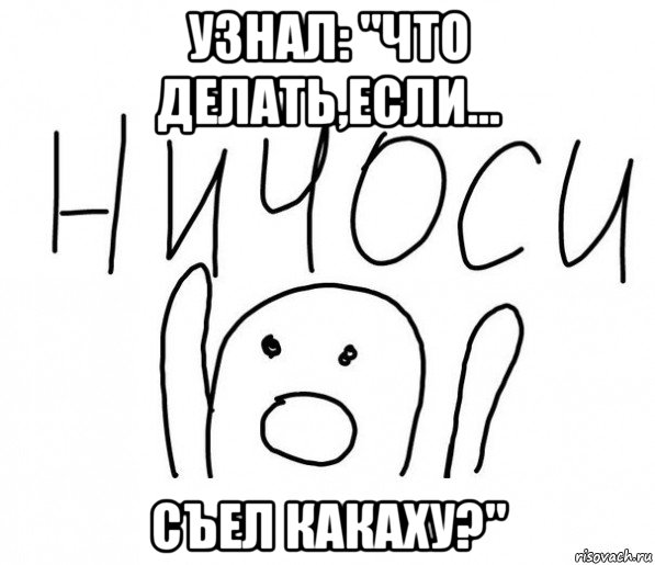 узнал: "что делать,если... съел какаху?", Мем  Ничоси