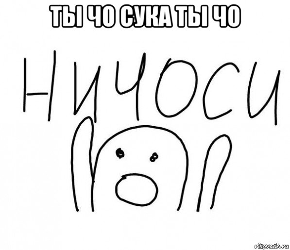 ты чо сука ты чо , Мем  Ничоси