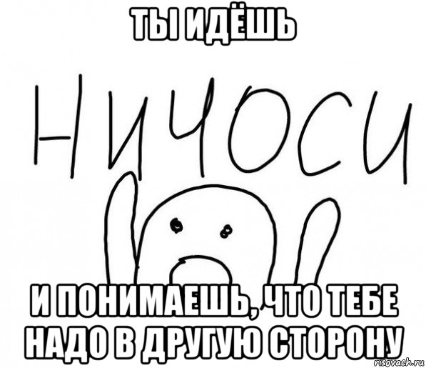 ты идёшь и понимаешь, что тебе надо в другую сторону, Мем  Ничоси