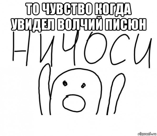 то чувство когда увидел волчий писюн , Мем  Ничоси