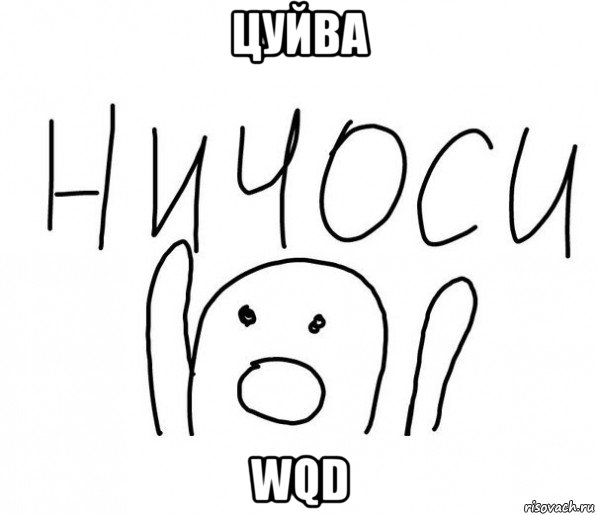 цуйва wqd, Мем  Ничоси