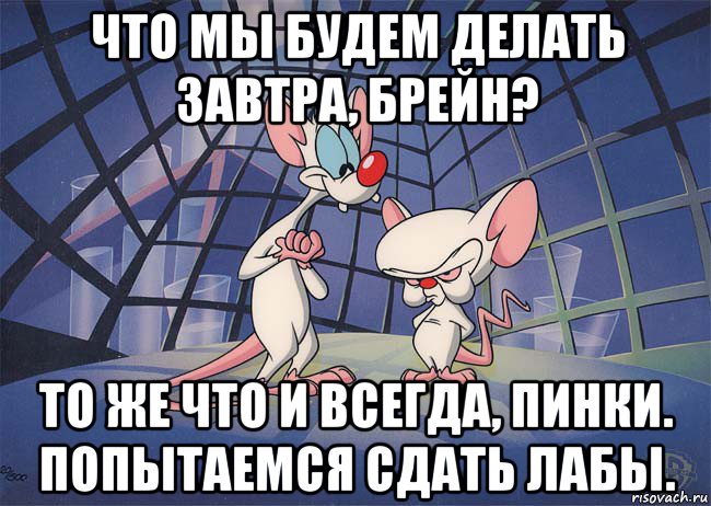 что мы будем делать завтра, брейн? то же что и всегда, пинки. попытаемся сдать лабы.