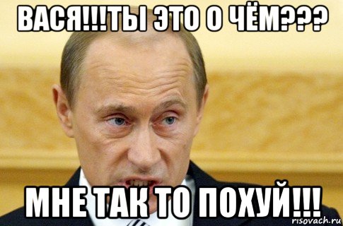 вася!!!ты это о чём??? мне так то похуй!!!, Мем путин