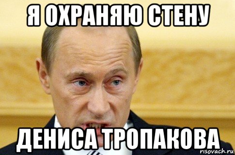 я охраняю стену дениса тропакова, Мем путин