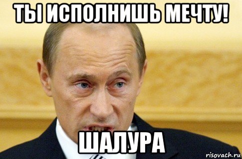 ты исполнишь мечту! шалура, Мем путин