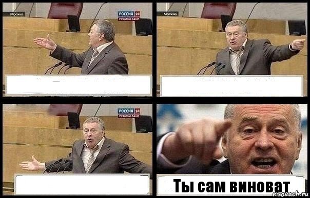    Ты сам виноват, Комикс с Жириновским