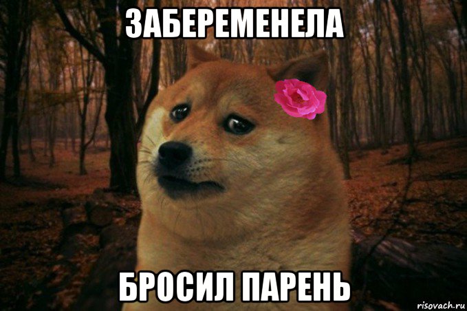 забеременела бросил парень, Мем  SAD DOGE GIRL