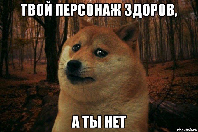 твой персонаж здоров, а ты нет, Мем SAD DOGE