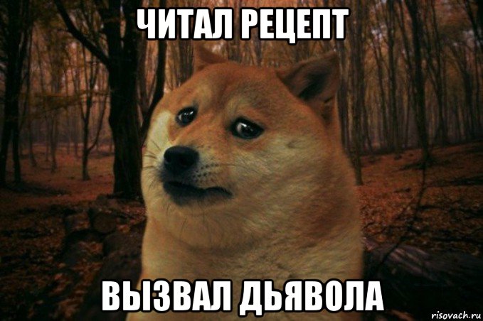 читал рецепт вызвал дьявола, Мем SAD DOGE