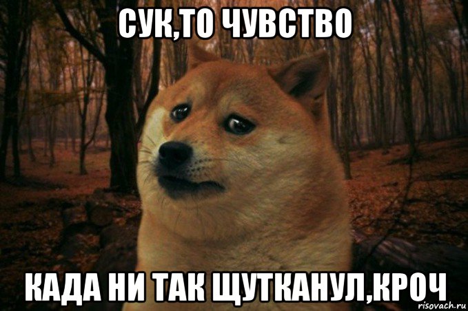 сук,то чувство када ни так щутканул,кроч, Мем SAD DOGE