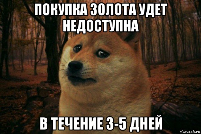 покупка золота удет недоступна в течение 3-5 дней, Мем SAD DOGE