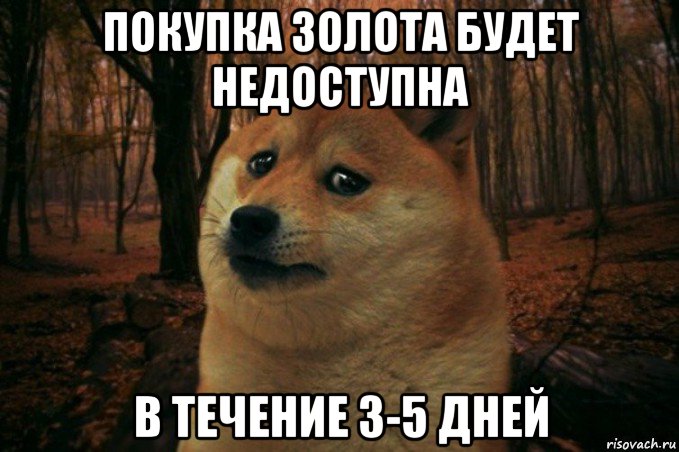 покупка золота будет недоступна в течение 3-5 дней, Мем SAD DOGE