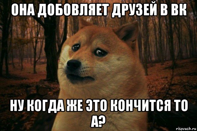 она добовляет друзей в вк ну когда же это кончится то а?, Мем SAD DOGE