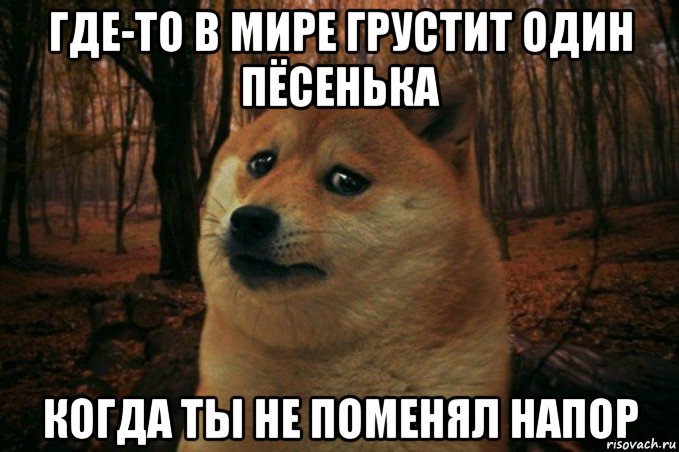 где-то в мире грустит один пёсенька когда ты не поменял напор, Мем SAD DOGE