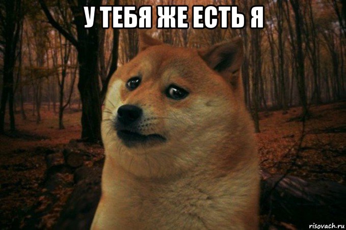 у тебя же есть я , Мем SAD DOGE