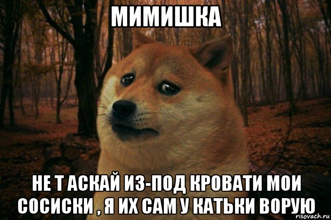 мимишка не т аскай из-под кровати мои сосиски , я их сам у катьки ворую, Мем SAD DOGE