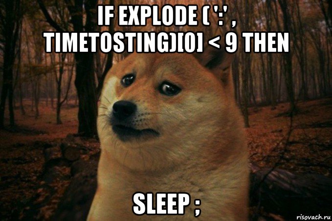 if explode ( ':' , timetosting)[0] < 9 then sleep ;, Мем SAD DOGE