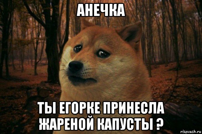 анечка ты егорке принесла жареной капусты ?, Мем SAD DOGE