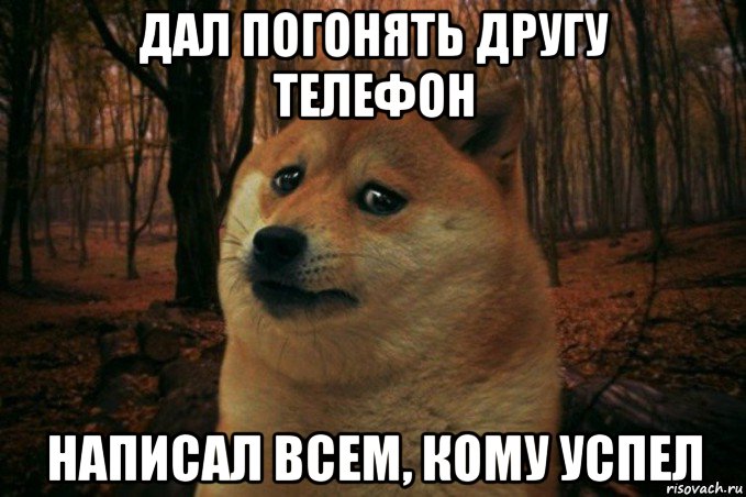 дал погонять другу телефон написал всем, кому успел, Мем SAD DOGE