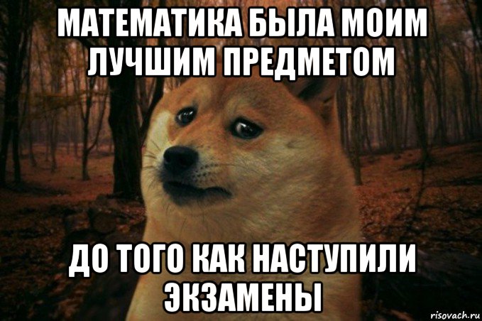 математика была моим лучшим предметом до того как наступили экзамены, Мем SAD DOGE