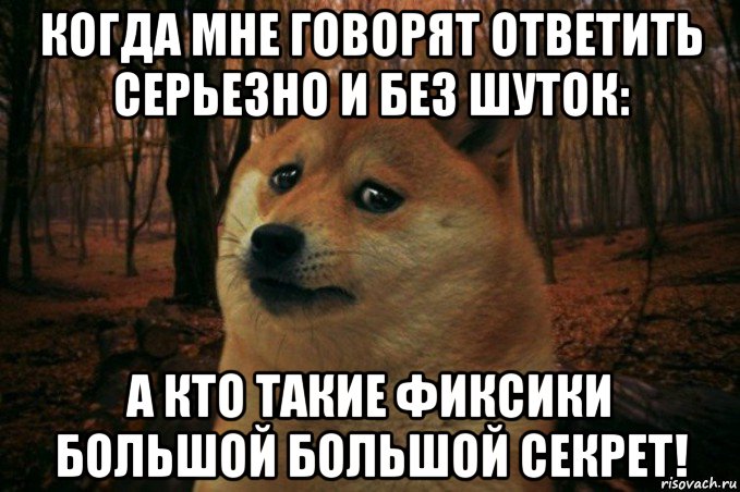 когда мне говорят ответить серьезно и без шуток: а кто такие фиксики большой большой секрет!, Мем SAD DOGE