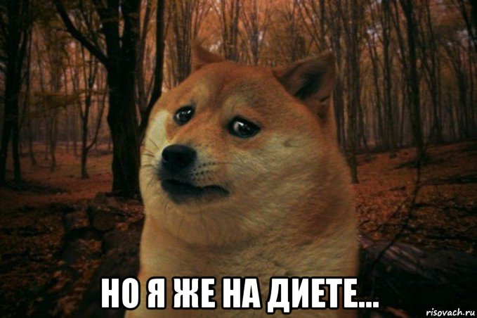  но я же на диете..., Мем SAD DOGE