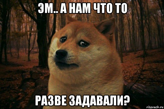 эм.. а нам что то разве задавали?, Мем SAD DOGE