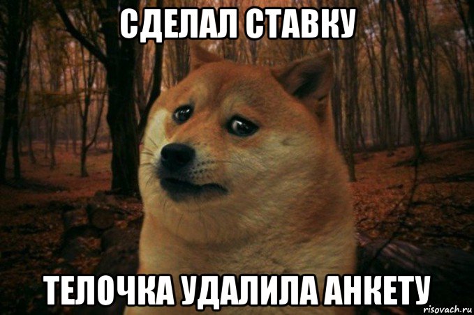 сделал ставку телочка удалила анкету, Мем SAD DOGE